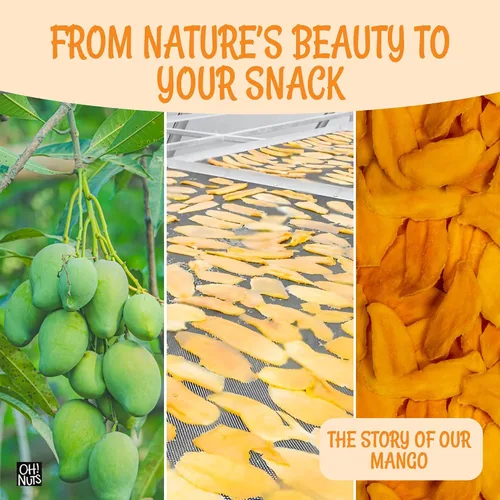 Vista 6 de Oh! Nuts Rebanadas de mango seco exótico – Bolsa a granel de 1 libra – Bocadillos de frutas jugosas deshidratados endulzados y masticables