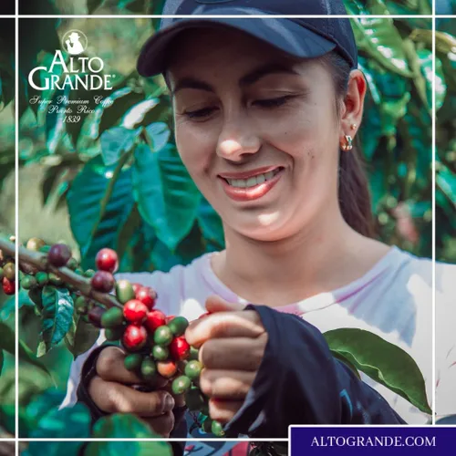 Vista 2 de Variedad de cápsulas de café puertorriqueño compatibles con máquinas Nespresso, 54