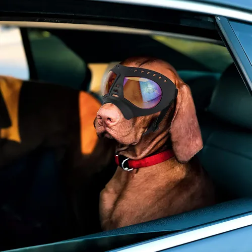 Vista 9 de Gafas grandes para perros con protección para ojos de mascotas para razas medianas a grandes, resistentes al viento, a prueba de nieve, a prueba