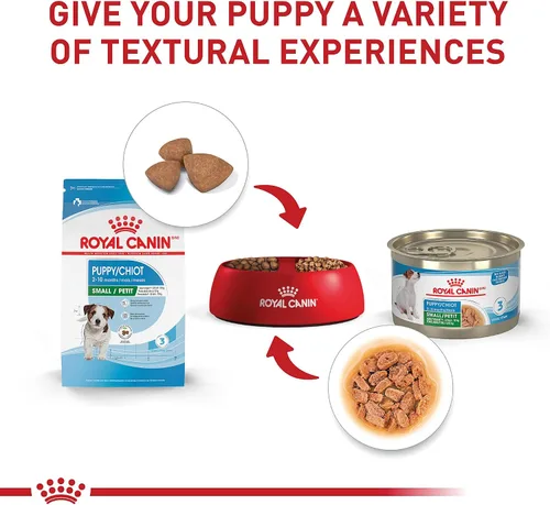 Vista 5 de Royal canin Tamaño Salud Nutrición Mini cachorro seco – Comida para Perro