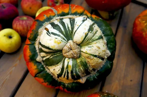 Vista 2 de Turbante de calabaza turco, 10 semillas, ornamental, turbante decorativo, calabaza, calabaza, champiñón, calabaza sin OMG