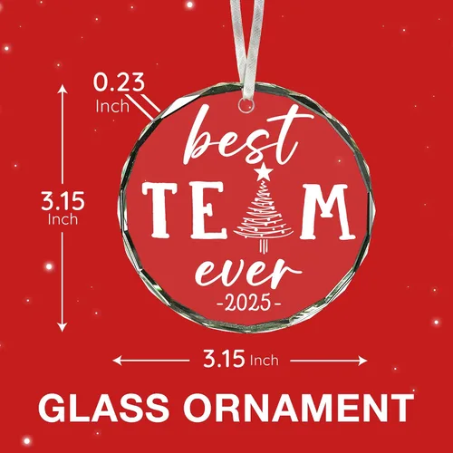 Vista 3 de Adorno del mejor equipo del mundo: regalos únicos de Navidad y agradecimiento para empleados, adornos geniales del equipo, regalos de agradecimiento