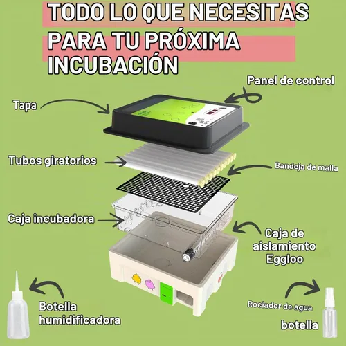 Vista 4 de Incubadora OBI-36 para incubar huevos, 36 huevos, fácil de usar, control estable de temperatura y humedad con aislamiento Eggloo, color verde