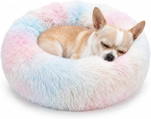 Vista 22 de Cama pequeña para perros extra pequeños para caniche de juguete Chihuahua Pomerania