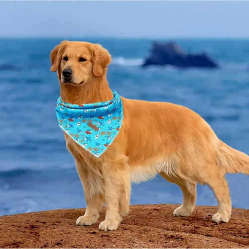 Vista 5 de Pañuelo para perro, pañuelo para mascotas con estampado de tiburón, pañuelo para mascotas, 1 unidad, lavable, de algodón, cuadrado, bufandas
