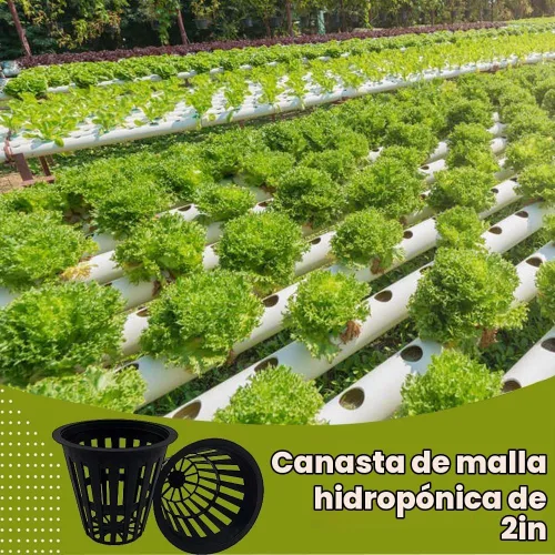 Vista 2 de 100 macetas de red resistentes de 2 pulgadas, vasos hidropónicos de malla ranurada para jardín, macetas de red para plantas y vivero
