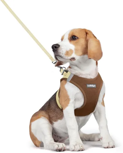 Vista 173 de rabbitgoo Arnés para perro de tamaño pequeño y juego de correa, chaleco Cachorros de manzana