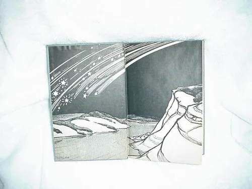 Vista 2 de Stars fell on Alabama. Illustrated by Cyrus LeRoy Baldridge