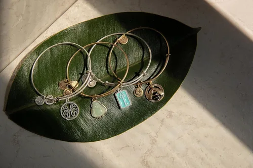 Vista 2 de Alex and Ani Camino de los símbolos, pulsera de Buda