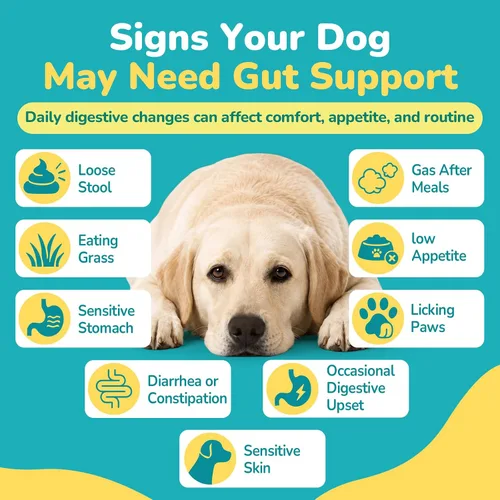 Vista 11 de Woyamay Probióticos para perros, probióticos masticables para perros, apoyo intestinal y digestivo
