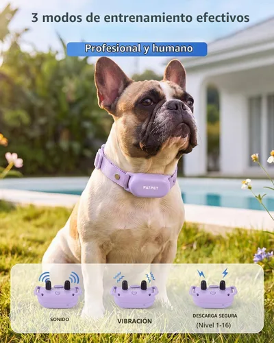 Vista 2 de PATPET Collar de choque para perros (10 a 120 libras), collar de entrenamiento impermeable IPX7 recargable de 4000 pies con control remoto para 2