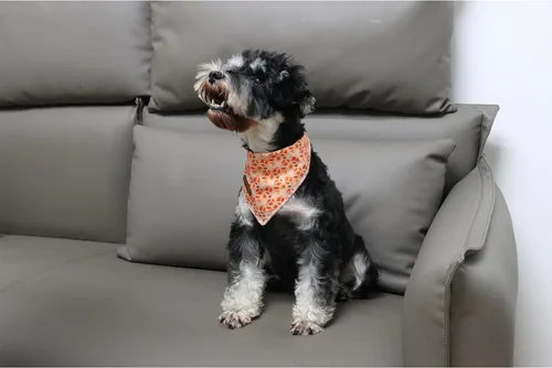 Vista 3 de Bandanas de otoño para perros de fútbol americano, de algodón, lavables, cómodas, triangulares, ajustable, para perros pequeños, medianos y grandes