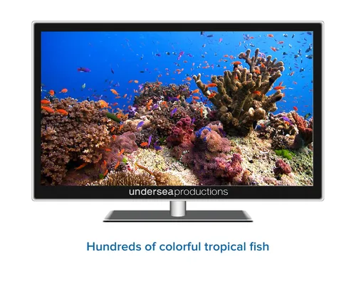 Vista 10 de Reefscapes Nature's Aquarium