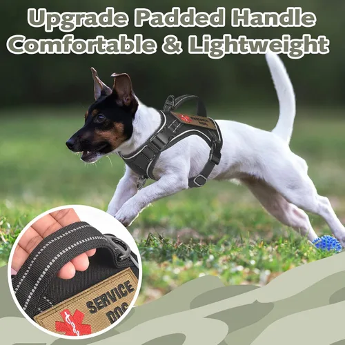 Vista 3 de Arnés táctico XS para perro, chaleco de servicio militar para perro con mango vertical, chaleco para cachorros pequeños sin tirones para Negro