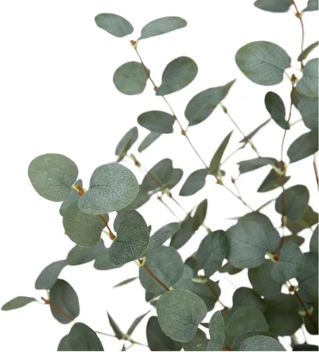 Vista 5 de 6 piezas tallos de eucalipto de 27", tallos de follaje, spray de hojas de eucalipto en verde, plantas de plástico de seda, plantas artificiales