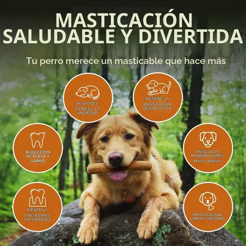 Vista 5 de Wildfang® Coffee Wood Masticable para Perros, Mediano - Juguetes Masticables Resistentes para Masticadores Agresivos, Juguetes de Dentición