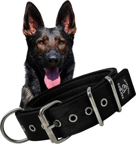 Vista 9 de SparkDog - Collar de perro resistente de 1.5 pulgadas, correa ajustable de grado de cinturón de seguridad con herrajes de acero inoxidable