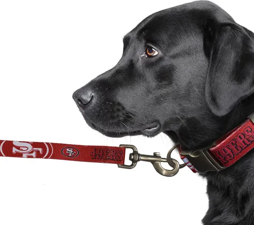 Vista 3 de Littlearth NFL NFL - Correa prémium para mascotas