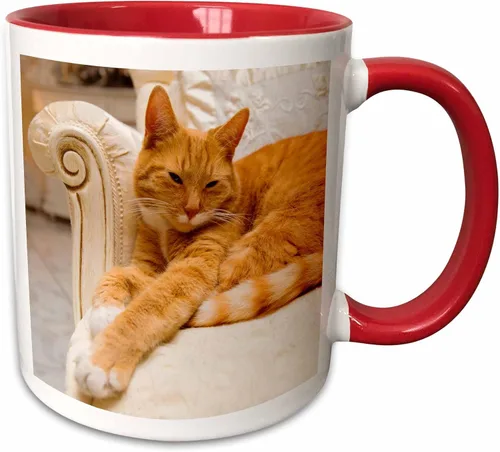Vista 10 de 3dRose, Taza negra de dos tonos de 15 onzas, negro/blanco