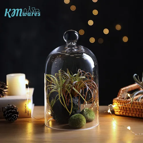 Vista 5 de KMwares Cúpula de cristal transparente, campana de campana para mesa, cubierta de plantas, alimentos (5.1 x 8.9 pulgadas)