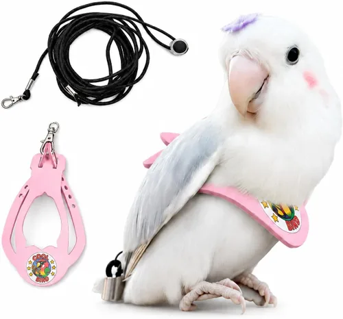 Vista 31 de Juego de arnés ajustable y correa para pájaros pequeños, apto para periquitos, conures, cacatúas, mejillas verdes, loros cuáqueros (verde, XS) 6350-6