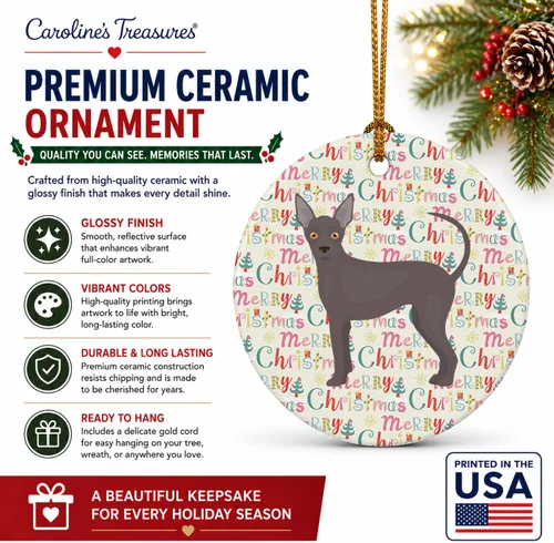 Vista 3 de Caroline's Treasures Abyssinian Sand Terrier - Adorno de cerámica para colgar en el árbol de Navidad, para el hogar, Navidad, fiestas, regalo, 3