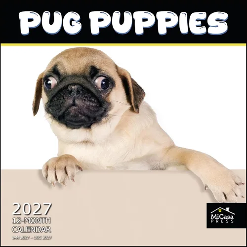Vista 50 de MICASA PRESS Calendario de pared de Australian Shepherds Aussies 2027 02 - Pastores australianos
