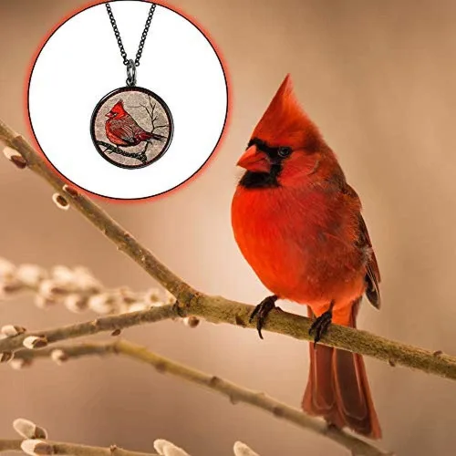 Vista 4 de Lola Bella Gifts and Spirit Lala - Collar cardenal con parte trasera Our Love Never Dies and Red Feathered Soul Poem Card Caja de regalo Duelo, Metal