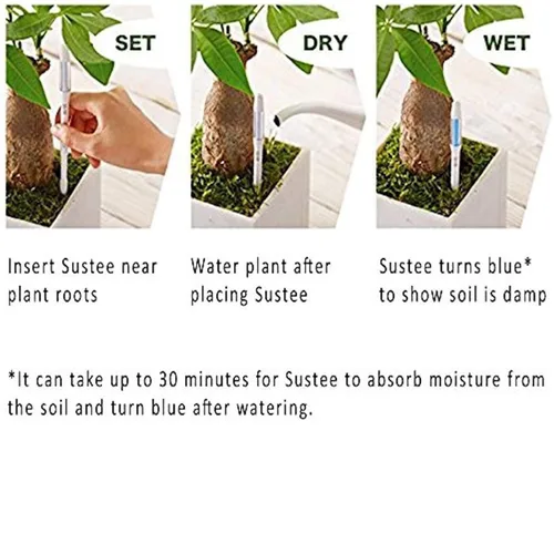 Vista 2 de Sustee Aquameter, juego de 4, sensor de humedad del suelo para plantas, (verde, pequeño)