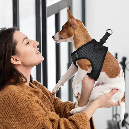 Vista 8 de Dogline York Step-in Air - Arnés de malla para perro, sin estrangulamiento, chaleco suave acolchado en el pecho para cachorros, perros pequeños
