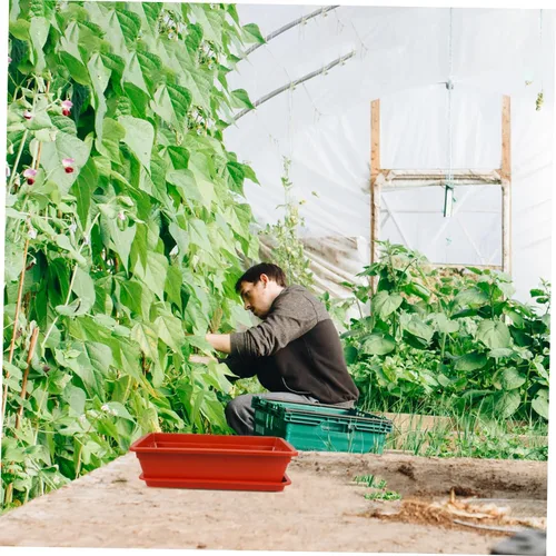 Vista 6 de Yardwe Contenedor de planta suculenta Rectángulo de plástico Maceta de vegetales Caja con drenaje Decoración de jardín
