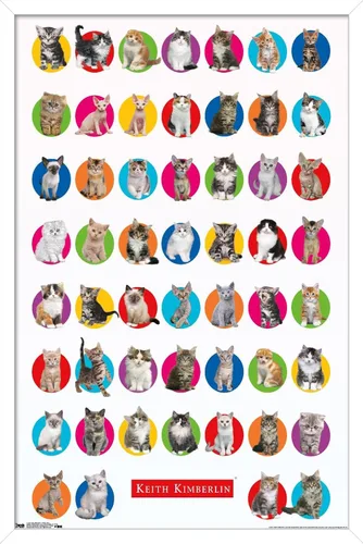 Vista 13 de Trends International Keith Kimberlin - Póster de pared de cuadrícula de gatito, 14.725 x 22.375 pulgadas, versión enmarcada de madera de granero