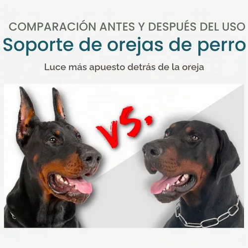 Vista 3 de Doberman - Kit de soporte para orejas de perro, herramienta de soporte para orejas de perro