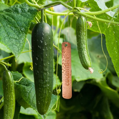 Vista 6 de Hotop 30 etiquetas de cobre para plantas de 4.5 pulgadas, etiquetas de metal para árboles, etiquetas largas para plantas de jardín, impermeables