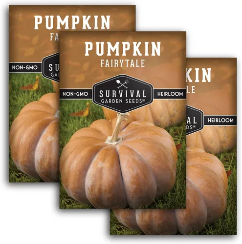 Vista 11 de Semillas de calabaza de cuento de hadas para plantar - 1 paquete Heirloom Musquée de Provence Pumpkins for Storage, Pies, Soups, Fall Décor
