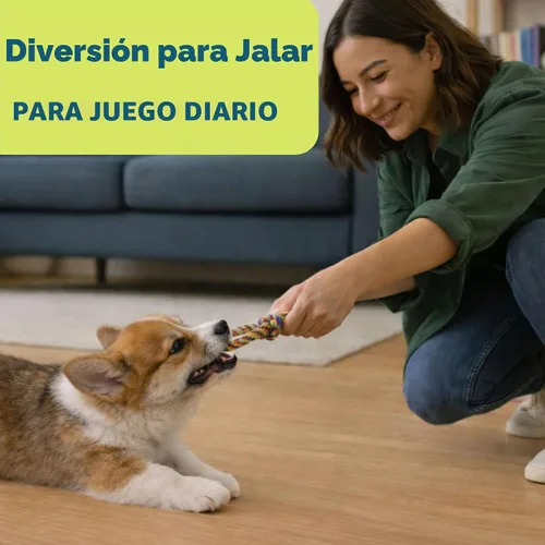 Vista 6 de Outward Hound Mini Dentachew - Juego de masticables dentales para perros - 3 paquetes - Gran tamaño para perros pequeños y cachorros