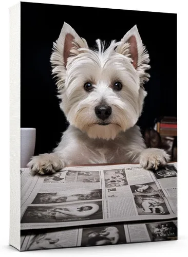 Vista 16 de Thuan Affenpinscher - Póster de lienzo con tus fotos, arte de pared para decoración del hogar, regalo conmemorativo para amantes de las mascotas