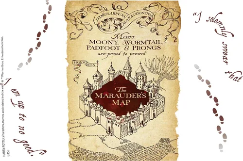 Vista 2 de Vaso térmico Tervis. Vaso de «El Mapa del Merodeador» de Harry Potter, vaso térmico con tapa marrón, 16 onza, Transparente