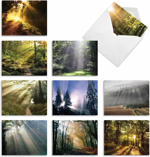 Vista 9 de The Best Card Company - Caja de 10 tarjetas para todas las ocasiones en blanco (4 x 5.12 pulgadas) - Tarjetas de paisaje escénico surtidas - Cloud 9