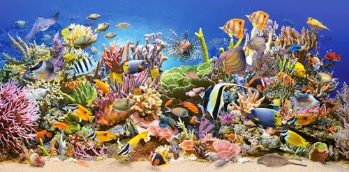 Vista 2 de CASTORLAND Rompecabezas de 4000 piezas, vida subacuática, Sealife, Océano, rompecabezas para adultos, Castorland C-400089-2