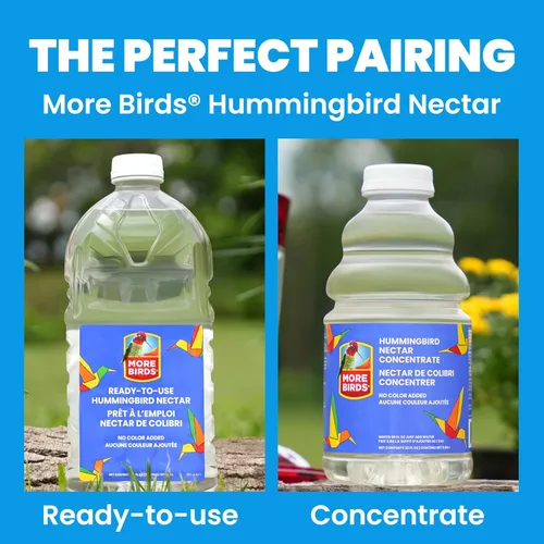 Vista 9 de More Birds Bird Health+ - Comedero para colibríes rubí, comedero de vidrio para colibríes para exteriores, 4 estaciones de alimentación, 10 onzas