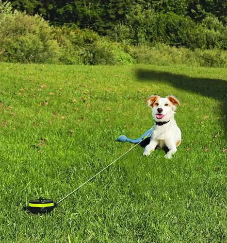 Vista 7 de Howard Pet Productos retráctil para atar perro en el suelo., S, Negro