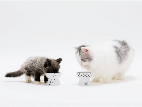 Vista 7 de Necoichi - Cuenco elevado de cerámica para gatos, apto para bigotes (gatos, mini)