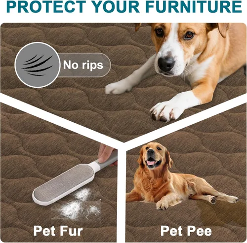Vista 2 de Turquoize Funda para Sofá para Perros Lavable Antideslizante Fundas Protectoras para Sofá de 2-3 Cojines Apto para Mascotas Chenille Acolchado