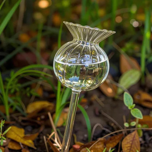 Vista 3 de Adabocute Globos de riego automático para plantas, picos de riego automático con corchos, dispositivos de bombillas de agua de vidrio transparente