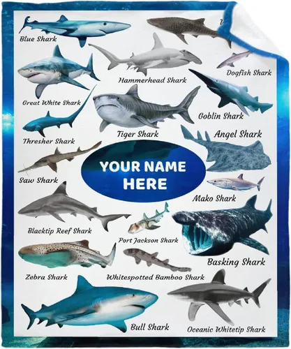 Vista 17 de Manta de avión con nombre personalizado, regalo de avión para niños, manta de avión con nombre personalizado para bebés, manta de franela suave
