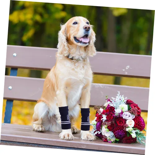 Vista 5 de 4pcs Knitted Dog Leg Warmers with Snug Fit Polyester