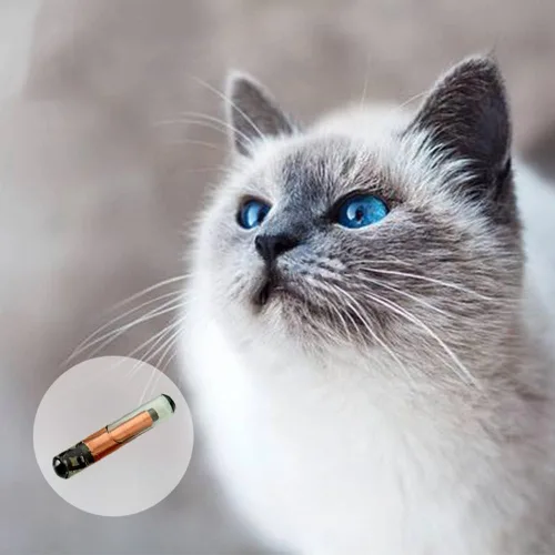 Vista 3 de 2 paquetes, microchips para mascotas ISENVO de 1,25x7mm, 134,2khz, chip de implante animal de registro, microchip FDX-B para identificación