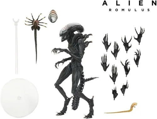 Vista 3 de NECA Figura de acción Xenomorfo Alien Romulus 18 cm