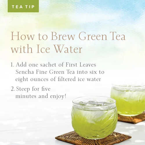 Vista 6 de Bolsas de té verde Sencha (25 paquetes), bolsas de té verde japonés orgánico (25 bolsas), auténtico té sencha japonés de First Leaves, 3.53 onzas